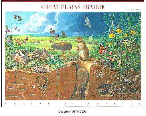 Pictured: Great Plains Prairie Souvenir Sheet. Copyright USPS 2000