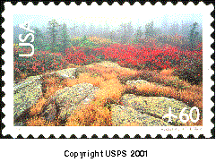 Pictured: Acadia National Park International Rate Stamp. Copyright USPS 2001.