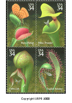 Stamp Announcment 01-38, Carnivorous Plants Commemorative Stamp. Copyright US Postal Service 2000.