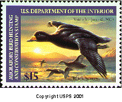 Stamp Announcement 02-22: Migratory Bird Hunting and Conservation Stamp, copyright USPS 2001.