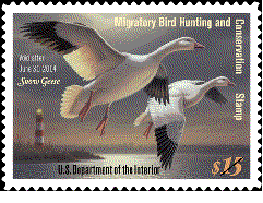 stamp announcement 03-19: migratory bird hunting and conservation stamps, copyright 2003.