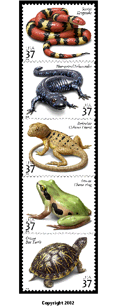 stamp announcement 03-25: reptiles and amphibians commemorative stamp, copyright 2002.