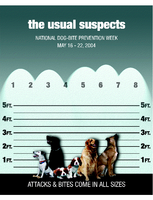 the usual suspects. national dog-bite prevention week, may 16-22, 2004. attacks and bites come in all sizes.