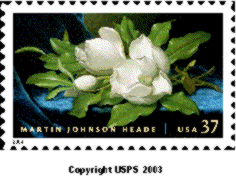 Stamp Announcement 04-24. Martin Johnson Heade, Giant Magnolias on a Blue Velvet Cloth Commemorative Stamp, copyright 2003.
