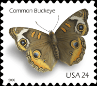 Common Buckeye Stamp