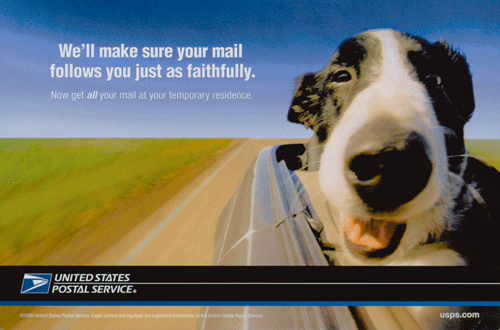 Backcover image:Picture of Dog and a message that says -We'll make sure your mail follows you just as faithfully.