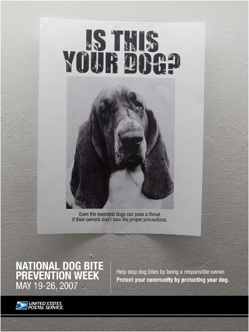 Is this your dog? Even the sweetest dogs can pose a threat if their owners don’t take the proper precautions. National Dog Bite Prevention Week, May 19-26, 2007. Help stop bites by being a responsible owner. Protect your community by protecting your dog.