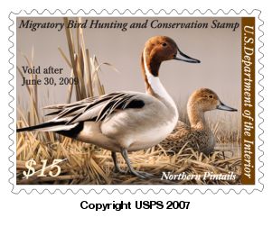 $15 Migratory Bird Hunting and Conservation Stamp.