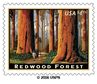 Redwood Forest (Priority Mail) stamp.