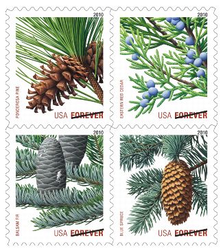 Stamp Announcement 10-26: Holiday Evergreens (Forever)