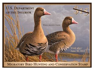 Stamp Announcement 11-32: Migratory Bird Hunting and Conservation Stamp