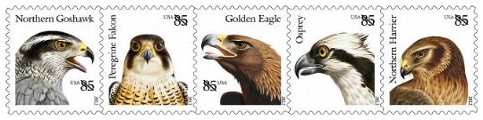 Stamp Announcement 12-7: Birds of Prey