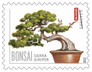 Stamp Announcement 12-12: Bonsai, Sierra Juniper