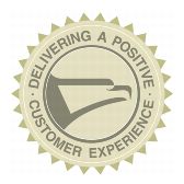 DELIVERING A POSITIVE CUSTOMER EXPERIENCE, Logo