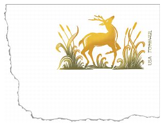 Stamp Announcement 13-16: Deer Stamped Card