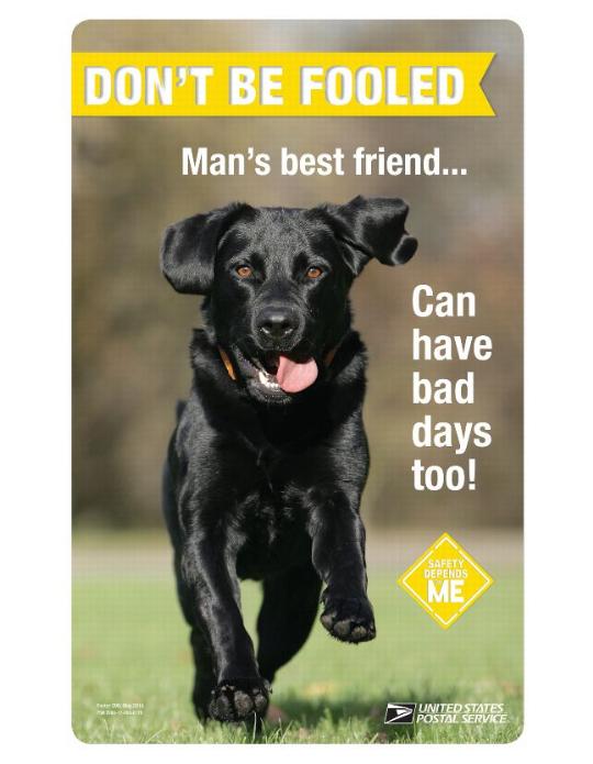 Dog Bite Poster