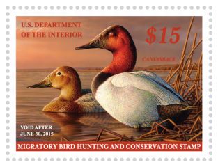 Stamp Announcement 1431: Migratory Bird Hunting and Conservation Stamp