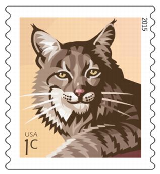 Stamp Announcement 15-8: Bobcat Stamp
