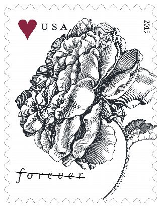 Stamp Announcement 15-8: Vintage Rose Stamp