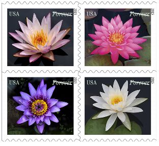 Stamp Announcement 15-11: Water Lilies Stamps