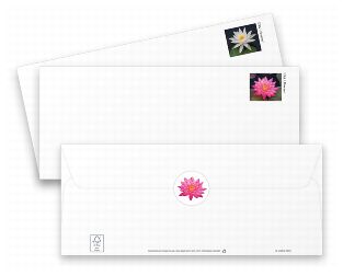 Stamp Announcement 15-19: Water Lilies Stamped Envelopes