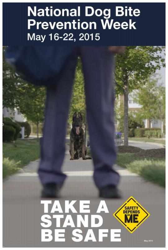 National Dog Bite Prevention Week Poster