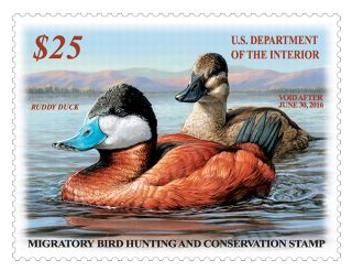 Stamp Announcement 15-29: Migratroy Bird Hunting and Conservation Stamp