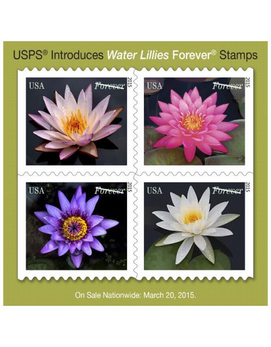 USPS Introduces Water Lillies Forever Stamp