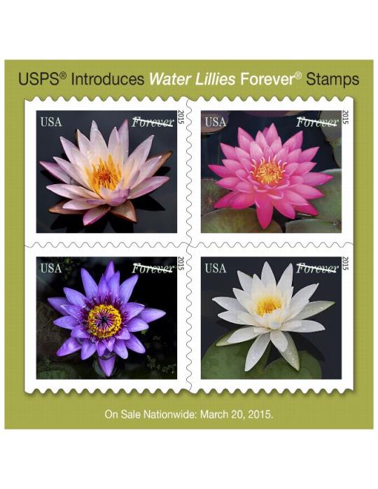USPS Introduces WAter Lillies Forever Stamps. On Sale Nationwide: March 20, 2015.