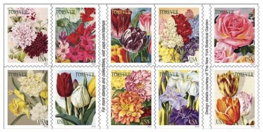 Stamp Announcement 16-01: Botanical Art Stamps