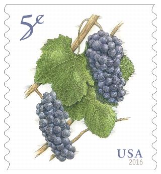 Stamp Announcement 16-08: Grapes Stamp