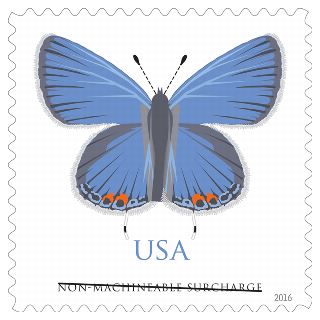 Stamp Announcement 16-37: Eastern Tailed-Blue (Butterfly) Stamp