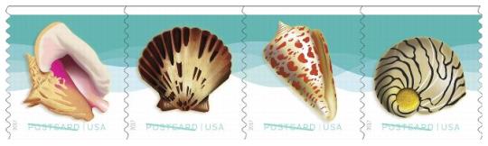 Seashells Stamps