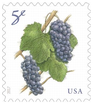 Grapes Stamp