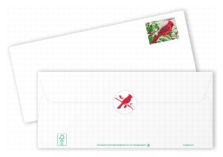 Snowbirds in Snow Stamped Envelope