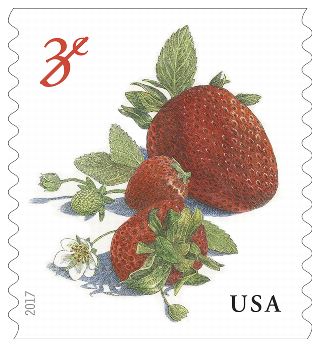 Stamp Announcement 17 - 24: Strawberries Stamp