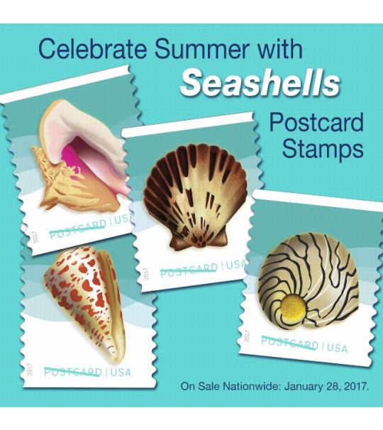 Celebrate Summer With Seashells Postcard Stamps. On Sale Nationwide: January 28, 2017