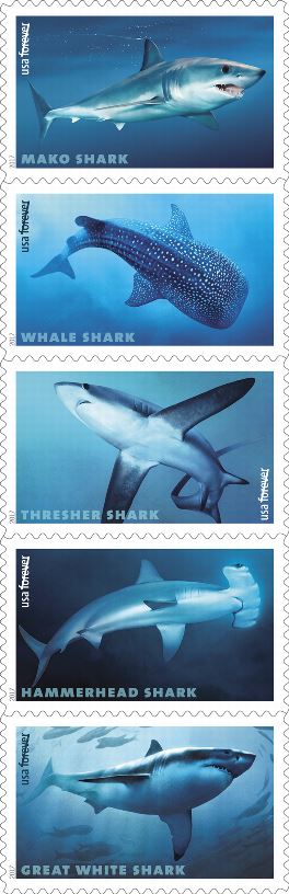 Sharks Stamps