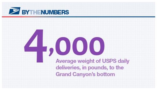 By the Numbers. 4,000 - Average weight of USPS daily deliveries, in pounds, to the Grand Canyon's bottom.