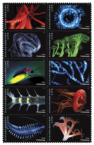 Bioluminescent Life Stamps