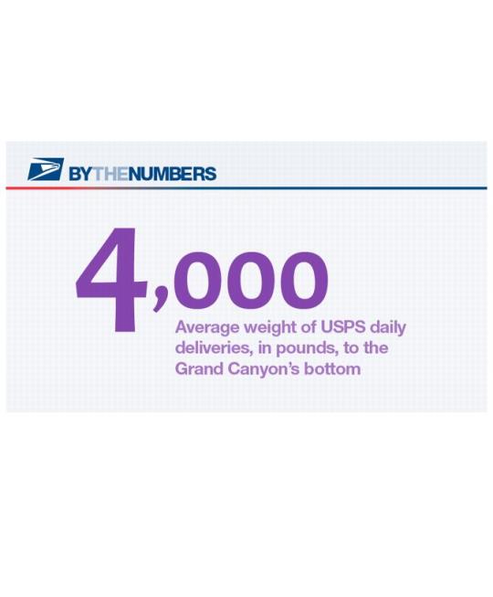 By The Numbers. 4,000: Average weight of USPS daily deliveries, n pounds, to the Grand Canyon's bottom