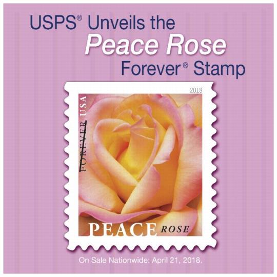 USPS Unveils the Peace Rose Forever Stamp. On sale nationwide: April 21, 2018.