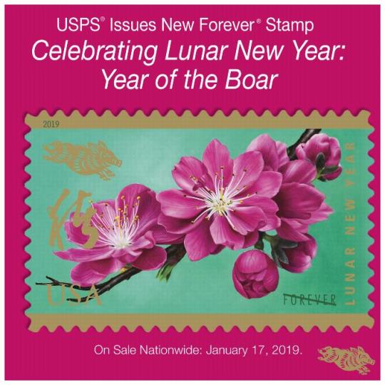 Postal Bulletin 22513, February 14, 2019. Back Cover - USPS Issues New Forever Stamp - "Celebrating Lunar New Year: Year of the Boar." On Sale Nationwide: January 17, 2019.