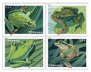 Frog Stamps