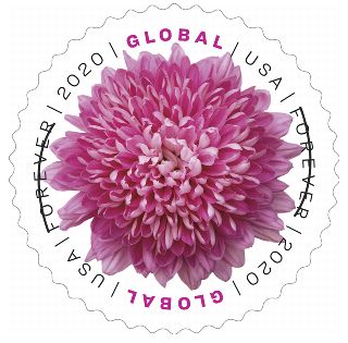 FDOI: Chrysanthemum Stamp
