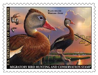 FDOI: Migratory Bird Hunting and Conservation Stamp