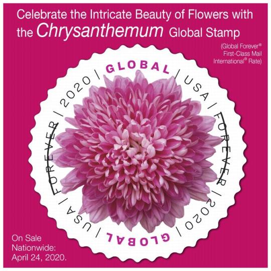 Postal Bulletin 22547, June 4, 2020. Back Cover - Celebrate the intricate Beauty of Flowers with Chrysanthemum Global Stamp. On sale nationwide: April 24, 2020.