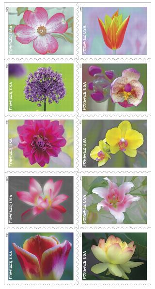 FDOI: Garden Beauty stamp.
