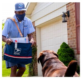 IMAGE: Mailman encountering dog.