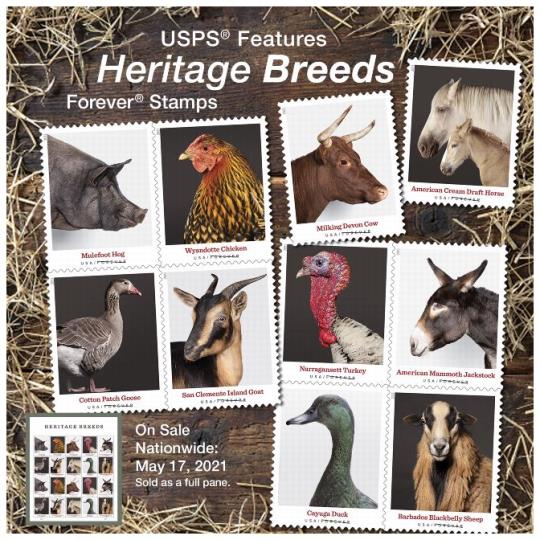 Back cover (Postal Bulletin 22574). June 17, 2021. USPS Features Heritage Breeds Forever Stamps. On Sale Nationwide: May 17, 2021. Sold as a full pane.